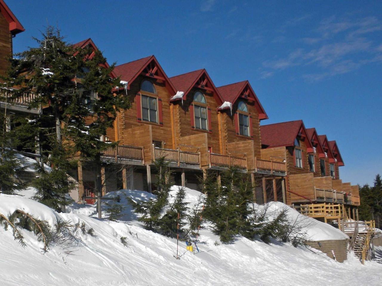 Loggers Run #8 Snowshoe Exterior photo